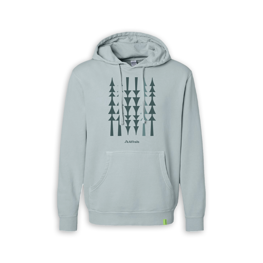 Treeline Comfort Wash Hoodie - Sky